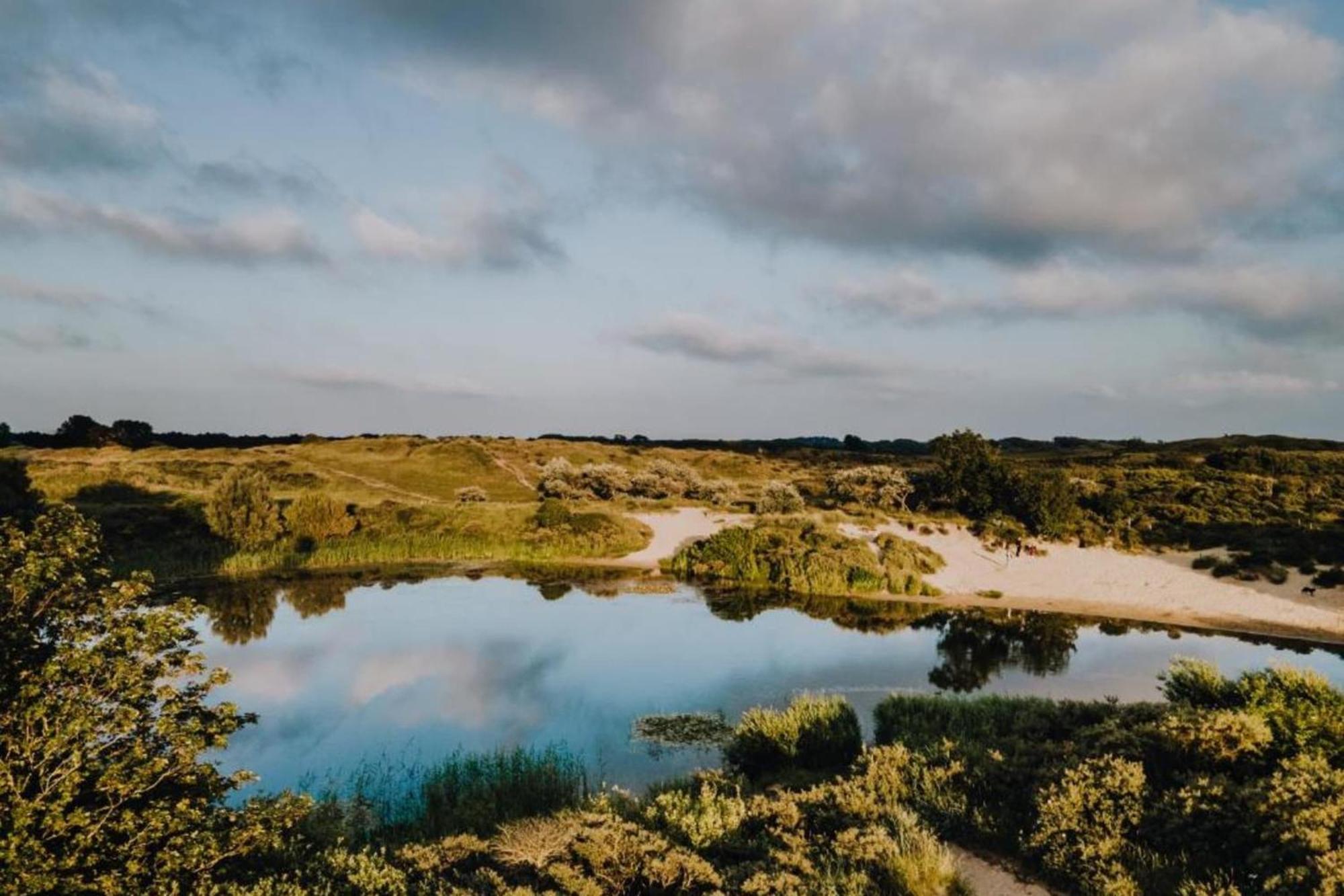 'T Zandhuisje Zandvoort Exteriör bild